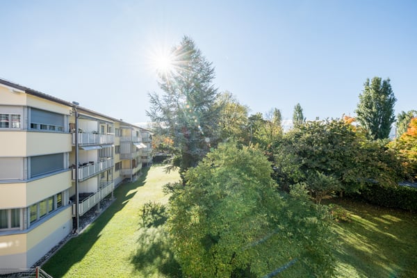 Vis à vis vom Zürisee - Ab in das kühle Nass! 2