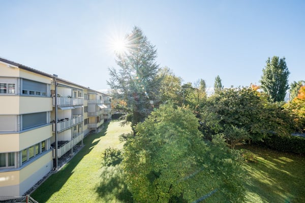 Vis à vis vom Zürisee - Ab in das kühle Nass! 2