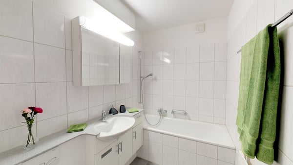 Naturnahes Wohnen über der Stadt St. Gallen 4