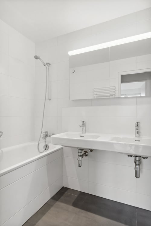 Duplex en attique 7