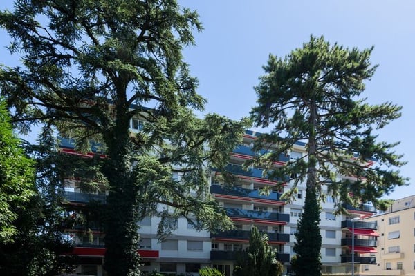 A deux pas du lac ! 2