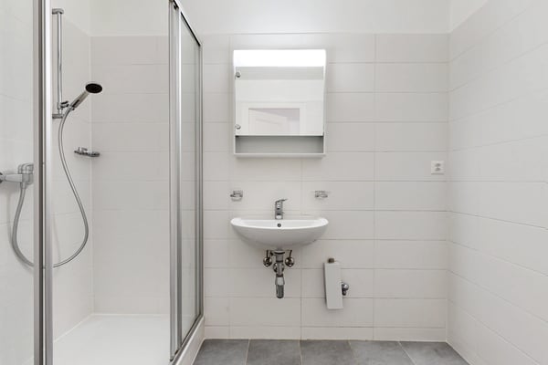 Prenez de la hauteur en surplombant les quais de l'Arve! 9