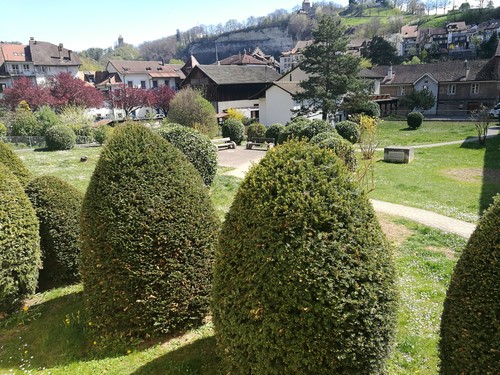 Charmant 3.5 pièces en vieille-ville de Fribourg! 7