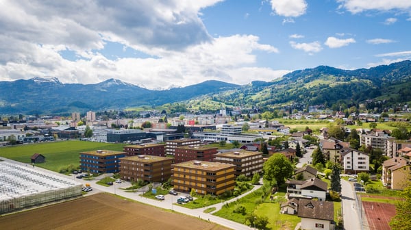 Blick ins Grüne 2