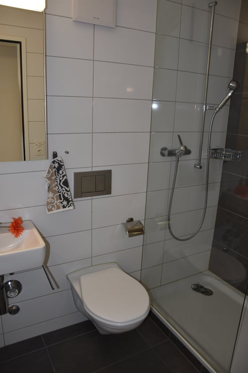 Grosszügige Wohnung mit Cheminée 9