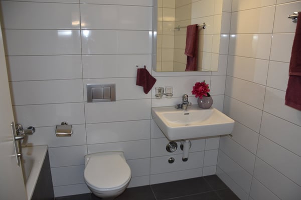 Grosszügige Wohnung mit Cheminée 8