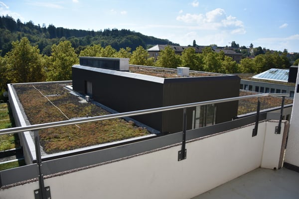 Grosszügige Wohnung mit Cheminée 10