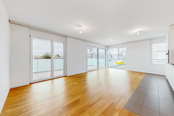 Bel appartement - Quartier de la Sallaz