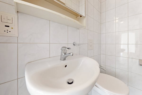 In der City Zuhause, im Grünen daheim 8