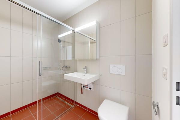 Moderne 3.5-Zimmer-Attikawohnung in Zürich-Oerlikon 4
