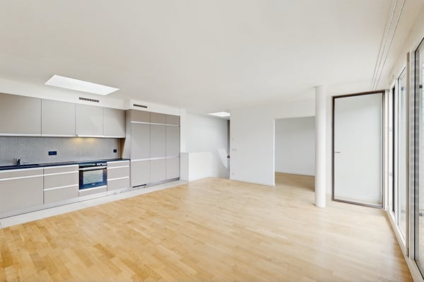 Superbe duplex en attique au Grand-Lancy 3
