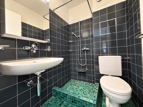 Hier strahlt die Sonne- wunderschöne Wohnung im Grünen sucht Sie! 7
