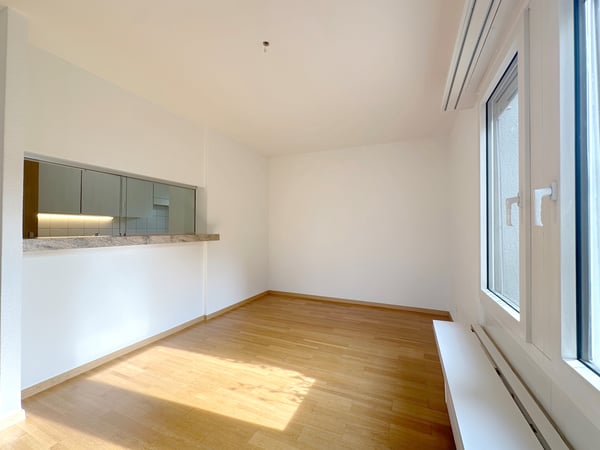 Wohntraum Attika - im bevorzugten Haslenquartier mit 2 Terrassen! 6