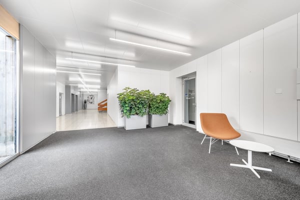 Gewerbefläche in Altstetten zu vermieten! (befristet bis 2028) 3