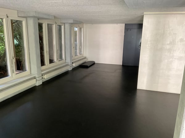 Attraktive Gewerbefläche an zentraler Lage in Luzern 9