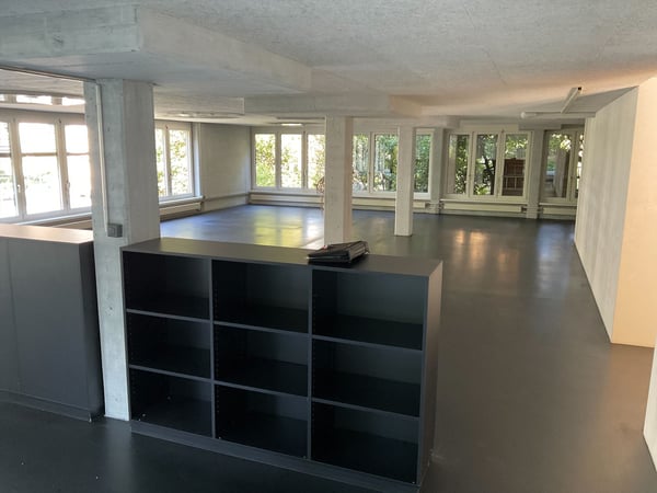 Attraktive Gewerbefläche an zentraler Lage in Luzern 2