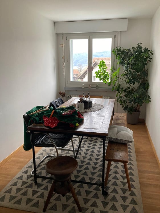 Charmante 4-Zimmerwohnung mit Balkon in ruhiger Lage von Gerolfingen 8