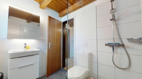1 Zimmer Dachwohnung 9