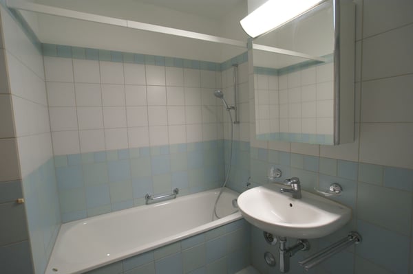 Attikawohnung im Grünen 3