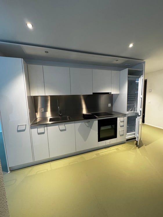 Moderne brandneue Loftwohnung mit Gartensitzplatz an der Bernstrasse (Nr.2) 4