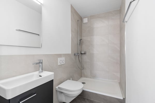 Attraktive 2.5-Zimmer-Attikawohnung mit Dachterrasse 10