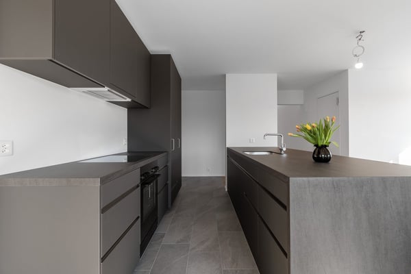 Attraktive 2.5-Zimmer-Attikawohnung mit Dachterrasse 5