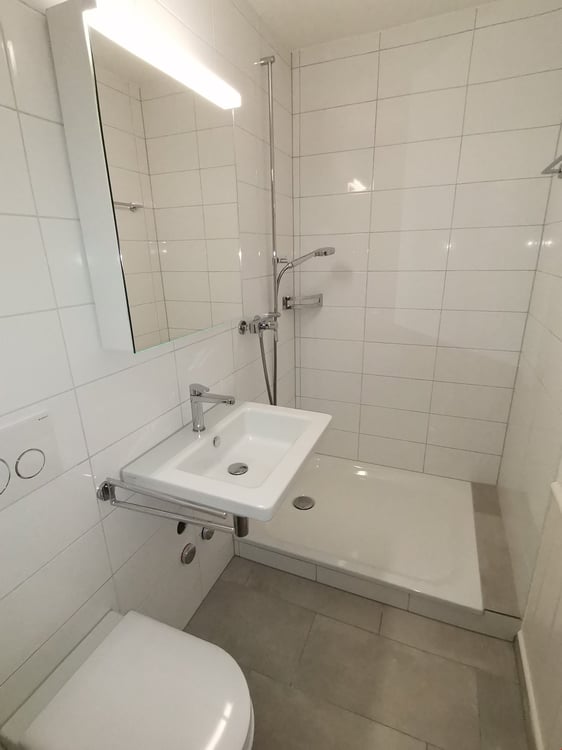 Zentral gelegene 1-Zimmerwohnung zu vermieten 4