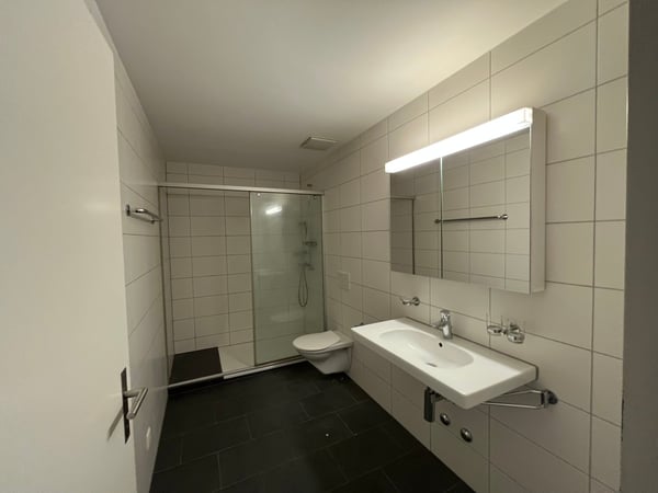 Helle 3.5-Zimmerwohnung mit Loftcharakter 4