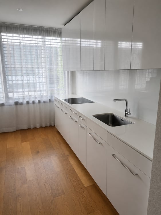 Moderne 3.5-Zimmerwohnung in der Tribschenstadt 2