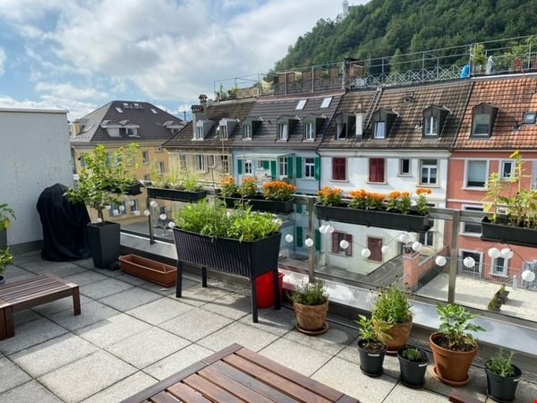 Wohnen an der Reuss mit Terrasse 14