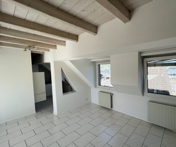 Charmante 2.5-Zimmer-Maisonette-Wohnung mit Dachterrasse im Herz von Luzern 8