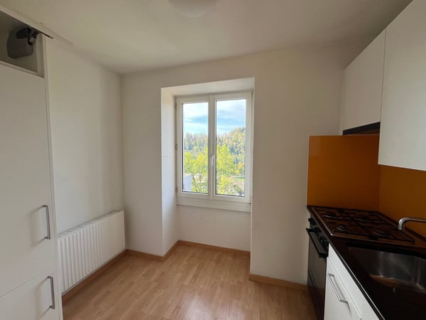 Charmante 1-Zimmer-Wohnung an der Maihofstrasse in Luzern 2