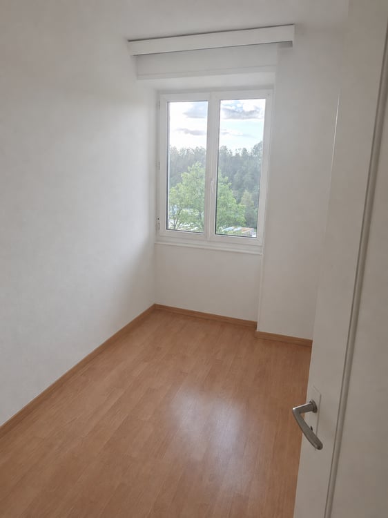 Charmante 3-Zimmer-Wohnung an der Maihofstrasse in Luzern 10