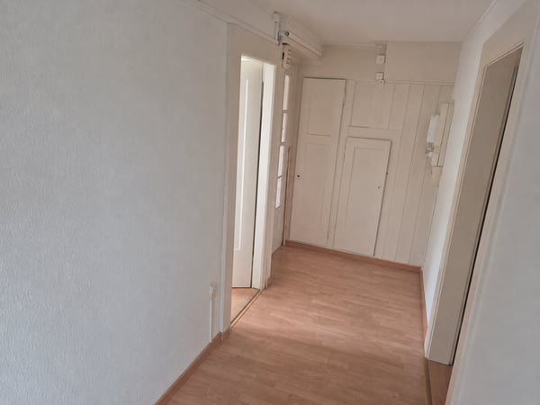 Charmante 3-Zimmer-Wohnung an der Maihofstrasse in Luzern 12