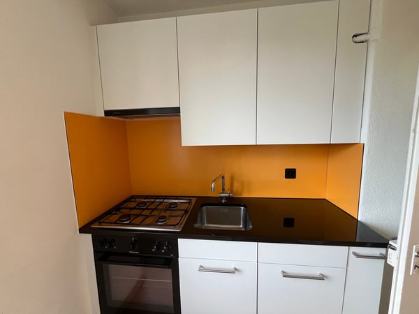 Charmante 1-Zimmer-Wohnung an der Maihofstrasse in Luzern 3