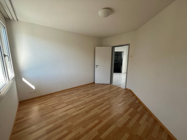 2.5-Zimmer Attika-Traum direkt an der Reuss 9