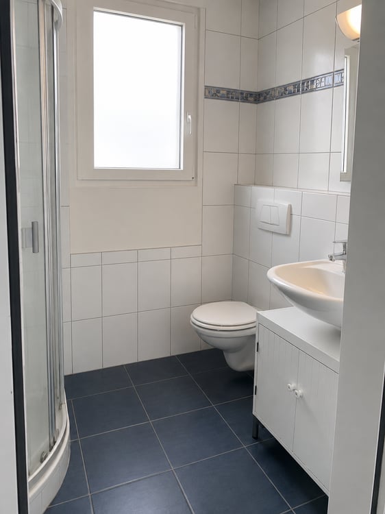 4.5-Zimmer Attika-Traum direkt an der Reuss 5