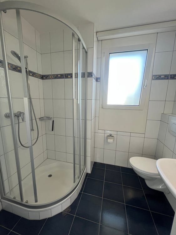 2.5-Zimmer Attika-Traum direkt an der Reuss 5