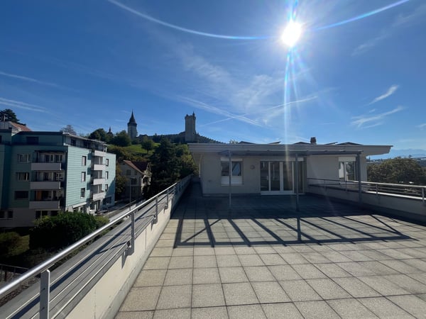 2.5-Zimmer Attika-Traum direkt an der Reuss 1