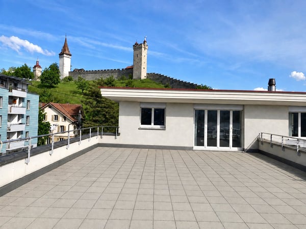 4.5-Zimmer Attika-Traum direkt an der Reuss 1