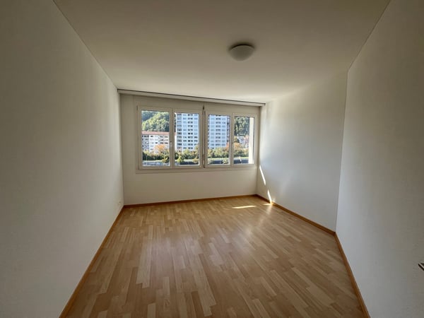 2.5-Zimmer Attika-Traum direkt an der Reuss 8