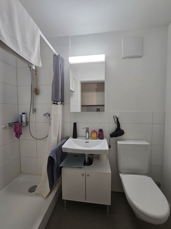 Gemütliche 1.5-Zimmer-Wohnung an zentrumsnaher Lage in Luzern 3