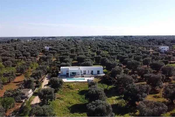 Moderne Ferienvilla mit Meersicht, Pool und absoluter Privatsphäre 2