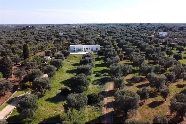 Moderne Ferienvilla mit Meersicht, Pool und absoluter Privatsphäre 3