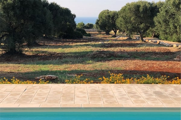 Moderne Ferienvilla mit Meersicht, Pool und absoluter Privatsphäre 5