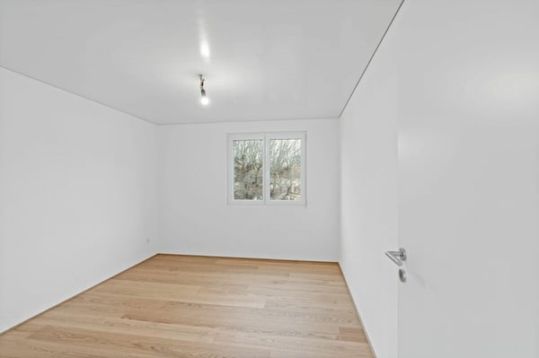 Doppeleinfamilienhaus an ruhiger, sonniger Lage in Widnau - komplett kernsaniert 13