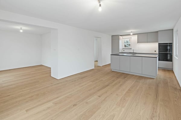 Doppeleinfamilienhaus an ruhiger, sonniger Lage in Widnau - komplett kernsaniert 1