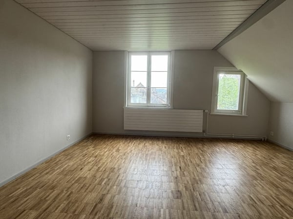 Grosszügige Altbauwohnung mit Garten in der Weinfelder Altstadt 7