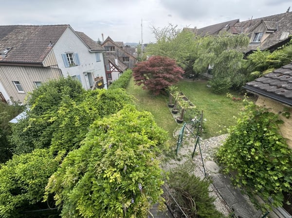 Grosszügige Altbauwohnung mit Garten in der Weinfelder Altstadt 13