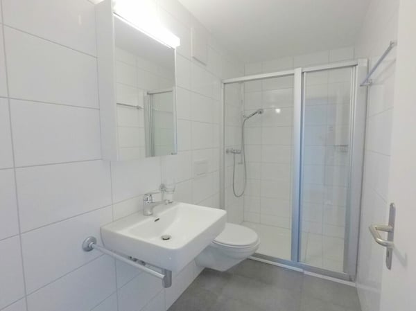 Grosszügige 1.5-Zimmer-Wohnung an ruhiger Lage 7